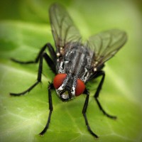 /album/liebesschloss/photolia-a01-jpg/