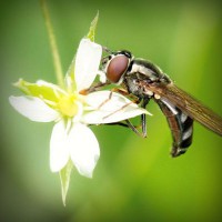 /album/liebesschloss/photolia-a02-jpg/