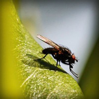 /album/liebesschloss/photolia-a04-jpg/