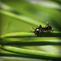 /album/liebesschloss/photolia-a05-jpg/