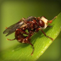 /album/liebesschloss/photolia-a06-jpg/