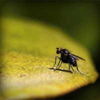 /album/liebesschloss/photolia-a07-jpg/