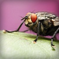 /album/liebesschloss/photolia-a08-jpg/